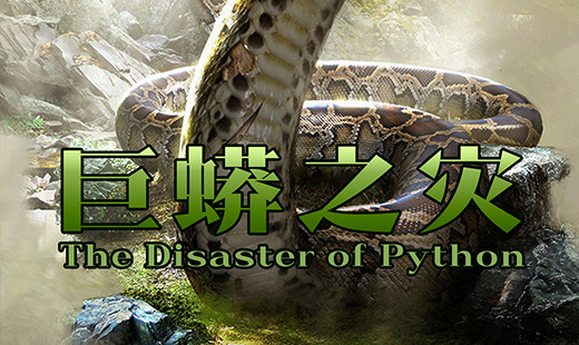 ����֮��